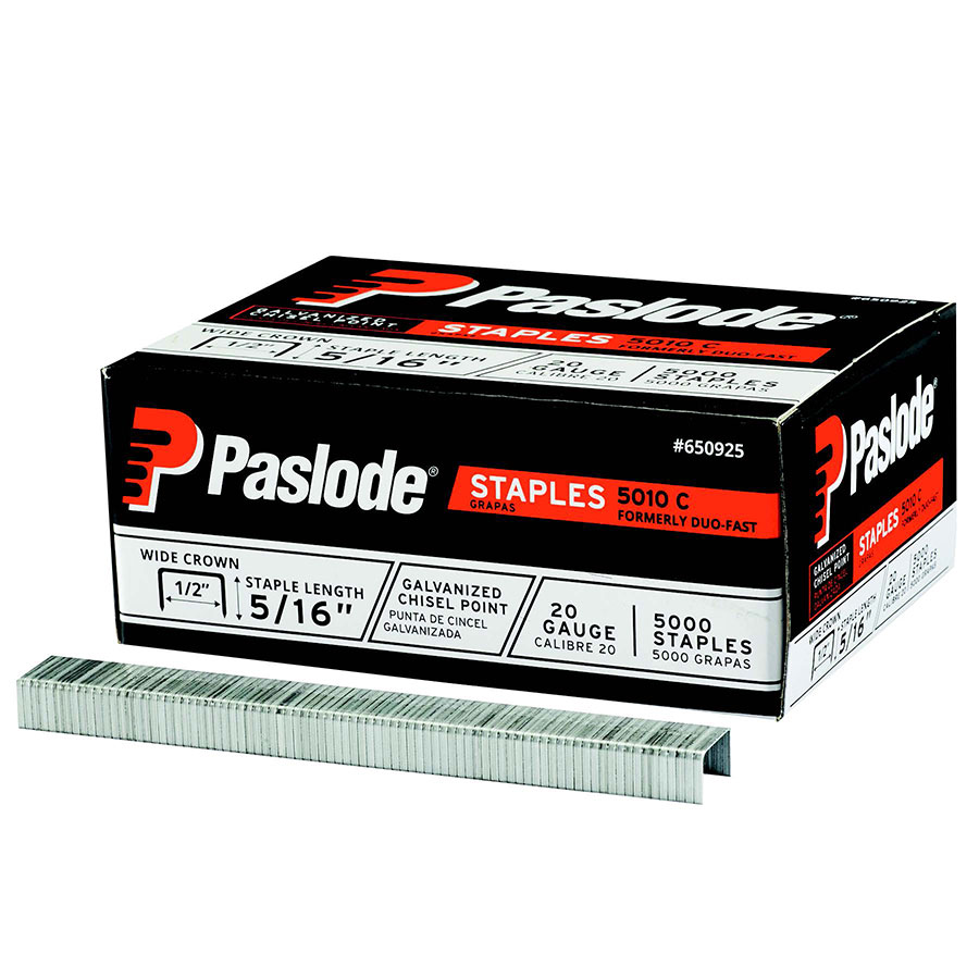 Paslode 5010C Staple, 1/2Crown, 20 GA, 5/16 Leg, Gal, Chisel Point
